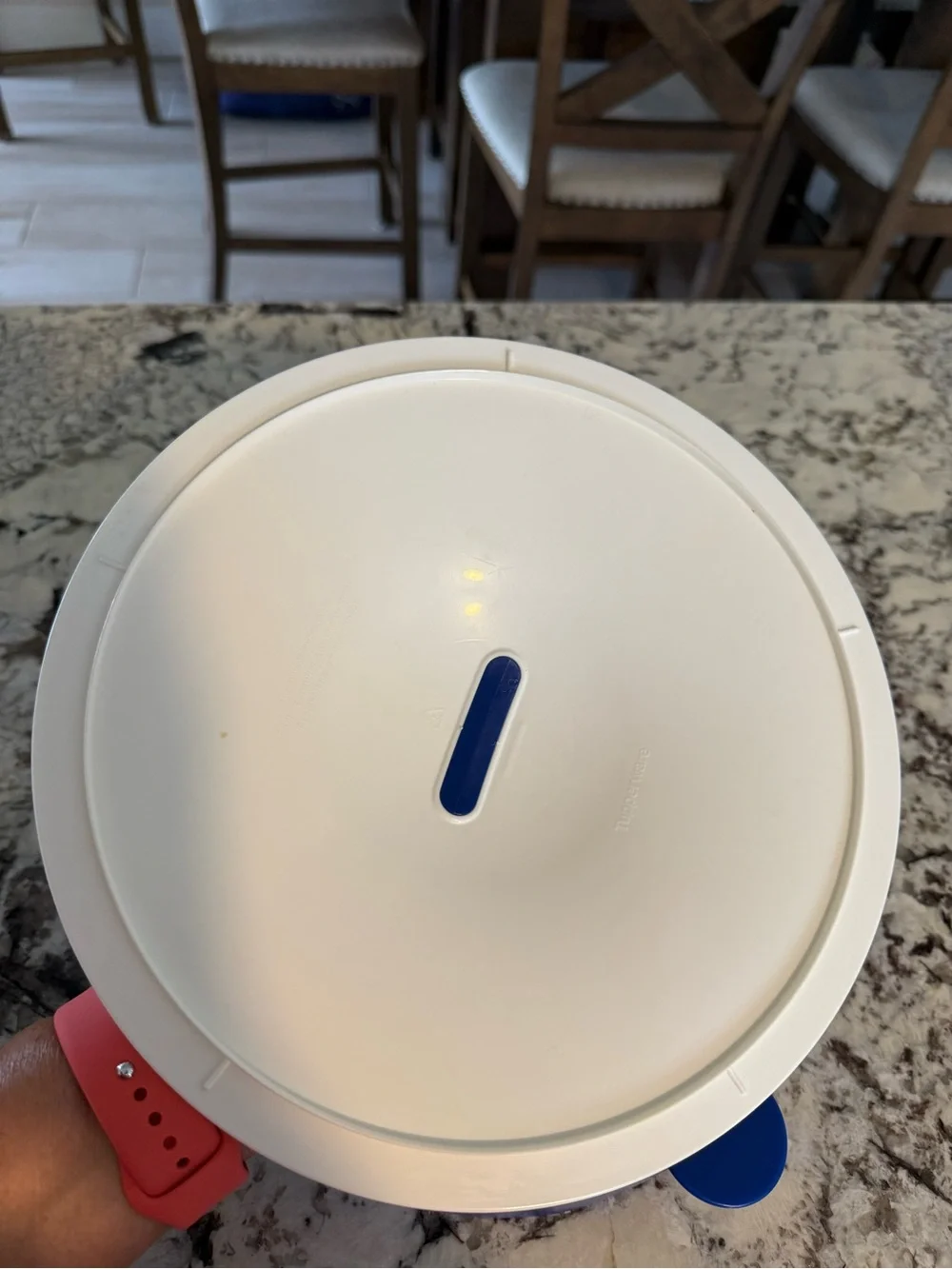 Tupperware Blue and White Covered Serving Bowl with Handle